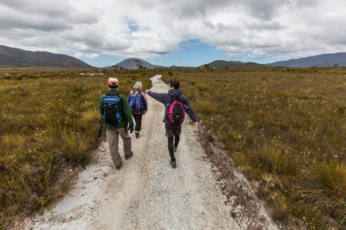 Guided walk