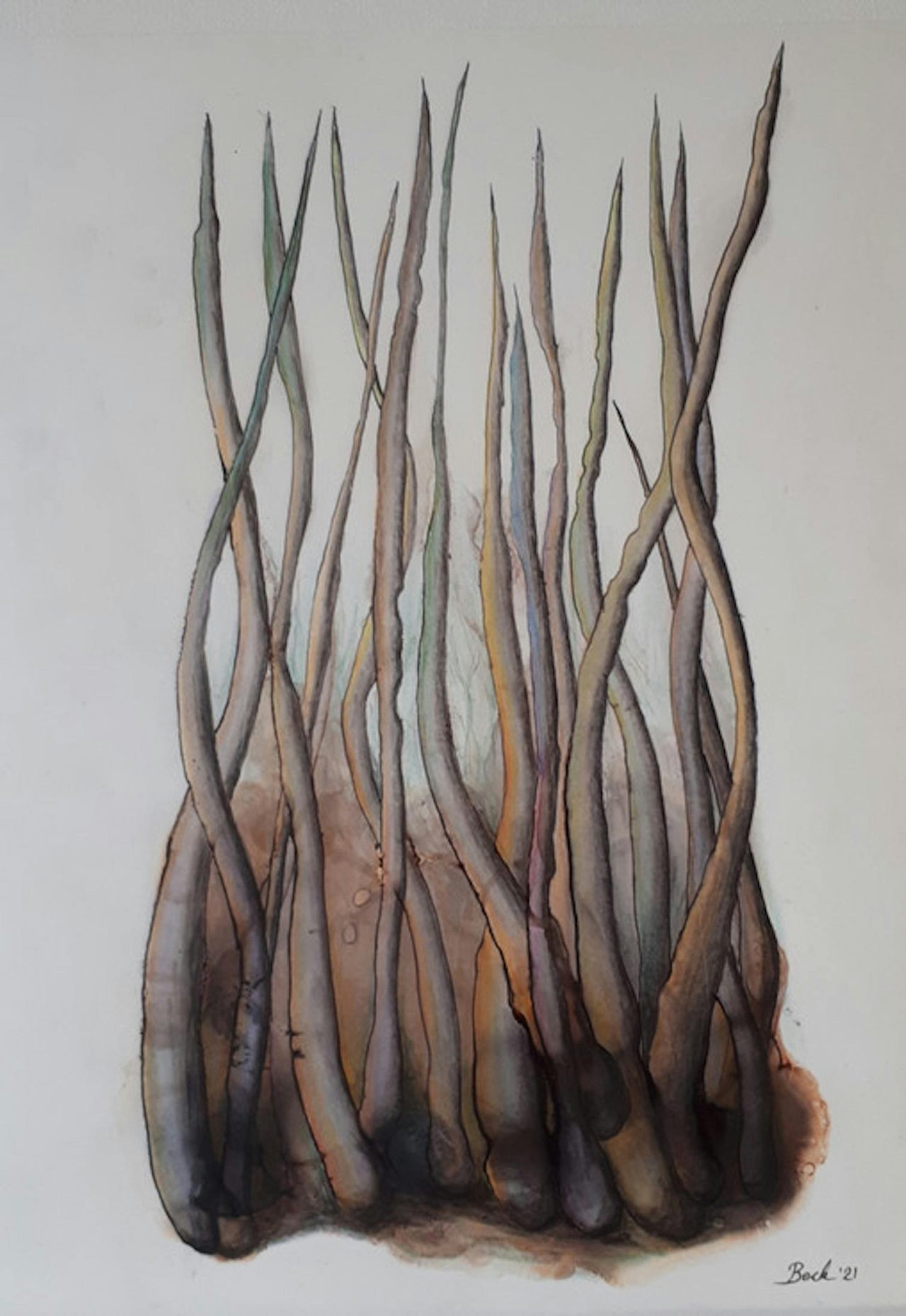 David Beck