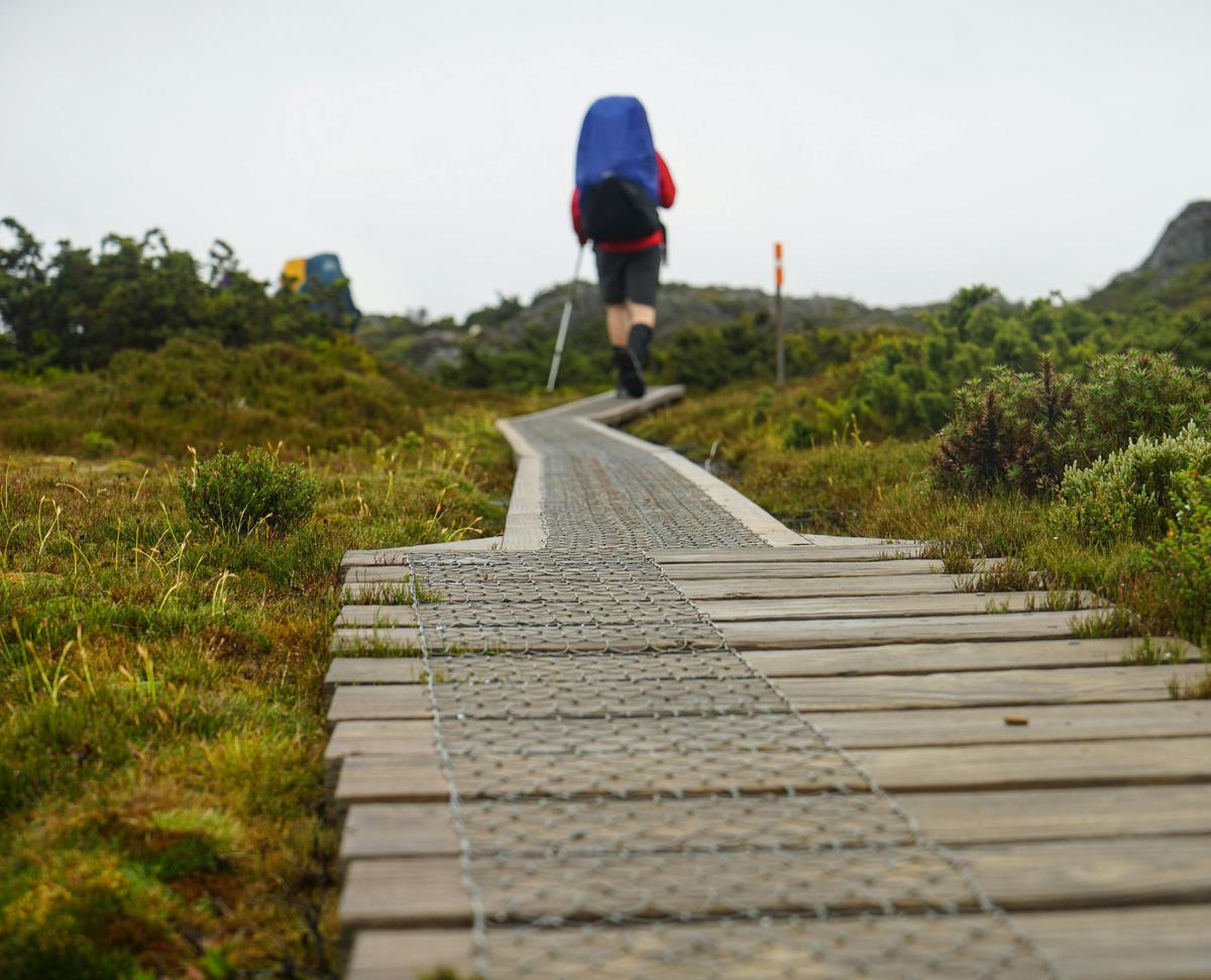 Overland Track Walk