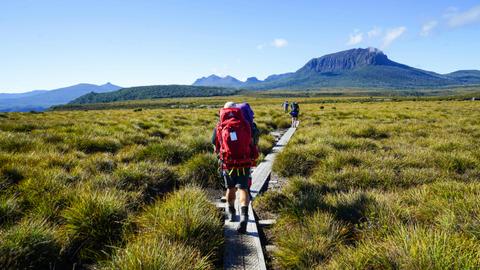 Overland Track Walk
