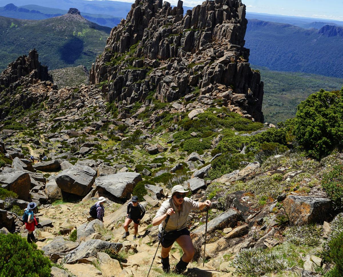 Overland Track Walk