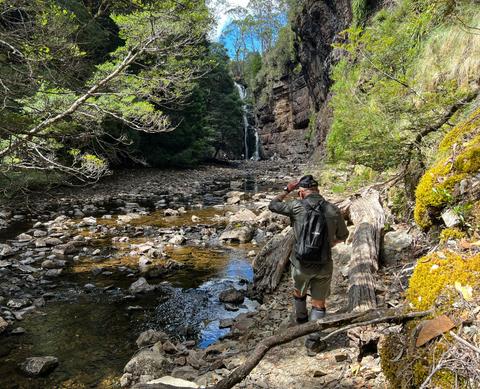Overland Track Walk