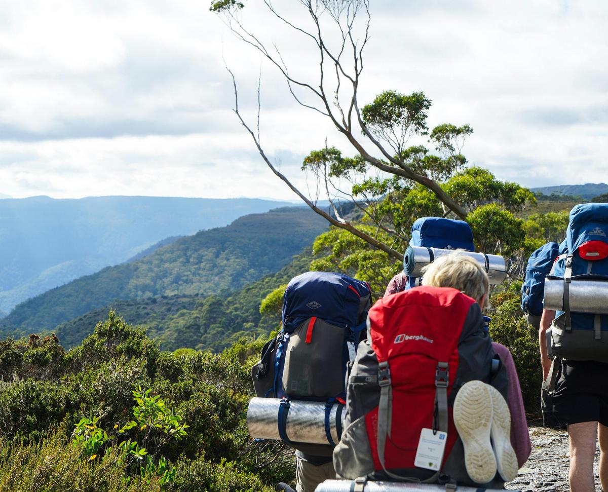 Overland Track Walk