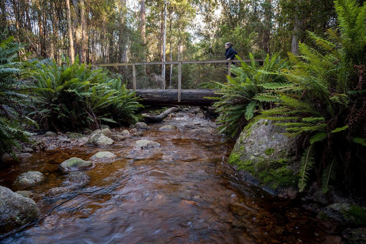 O'Neill's Creek