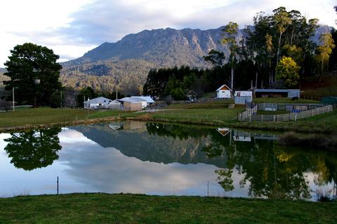 Paradise Road Farm