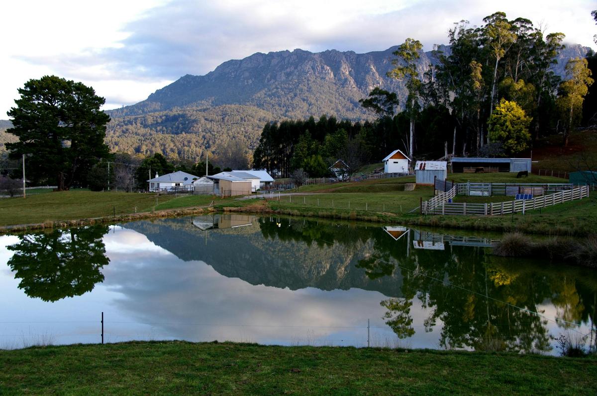 Paradise Road Farm Stay is nestled in the shadow of Mt Roland