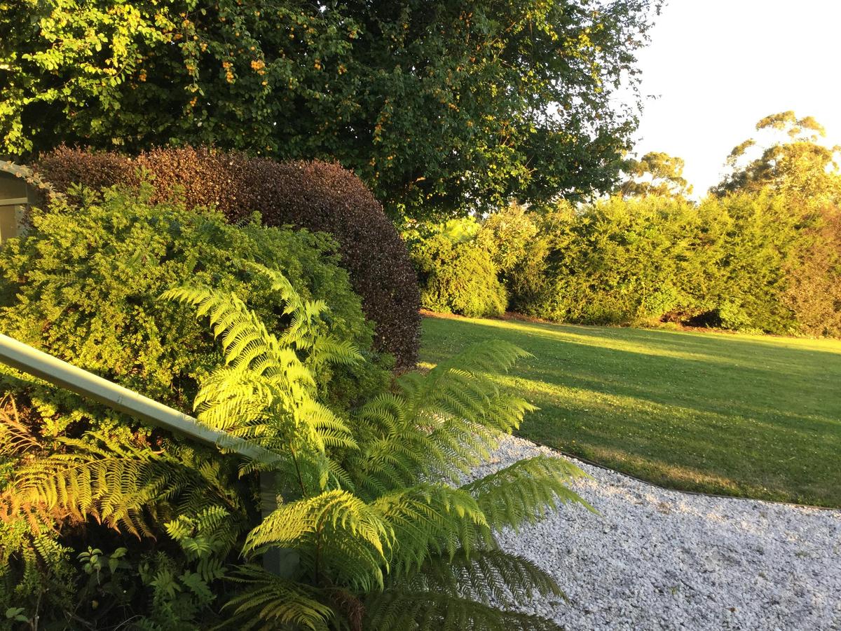 The lawns at sunseet