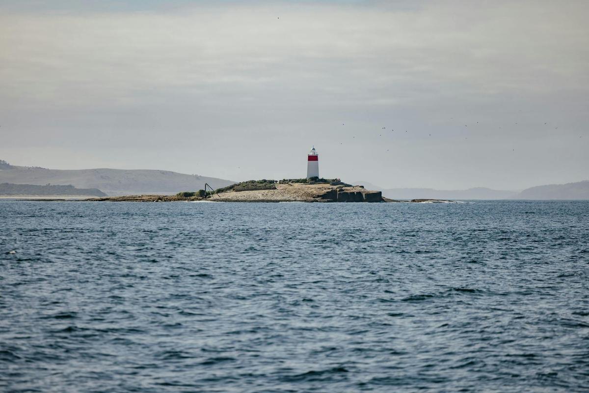 Peppermint Bay River Derwent Guided Cruise