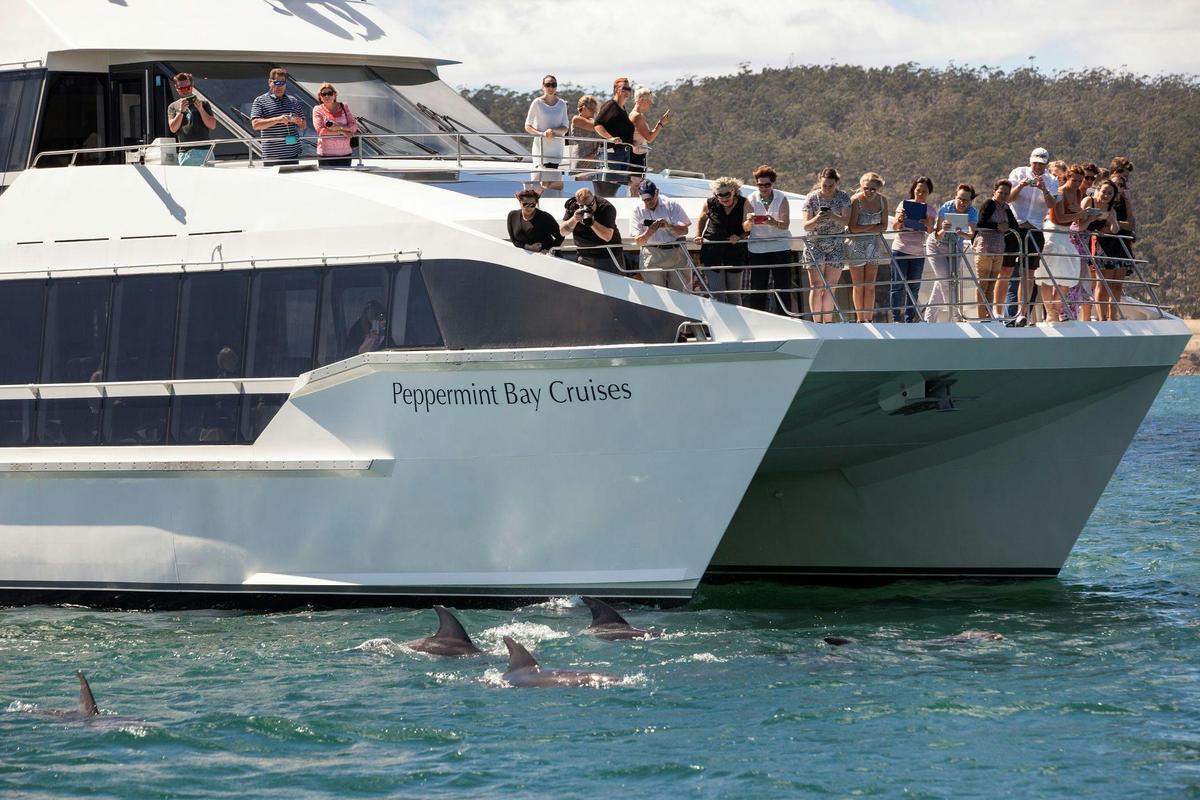 Peppermint Bay River Derwent Guided Cruise