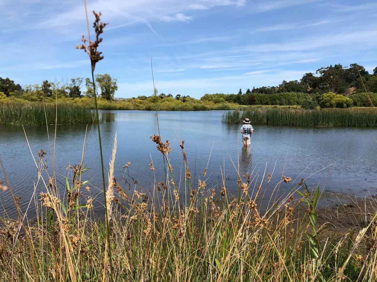 Fishing
