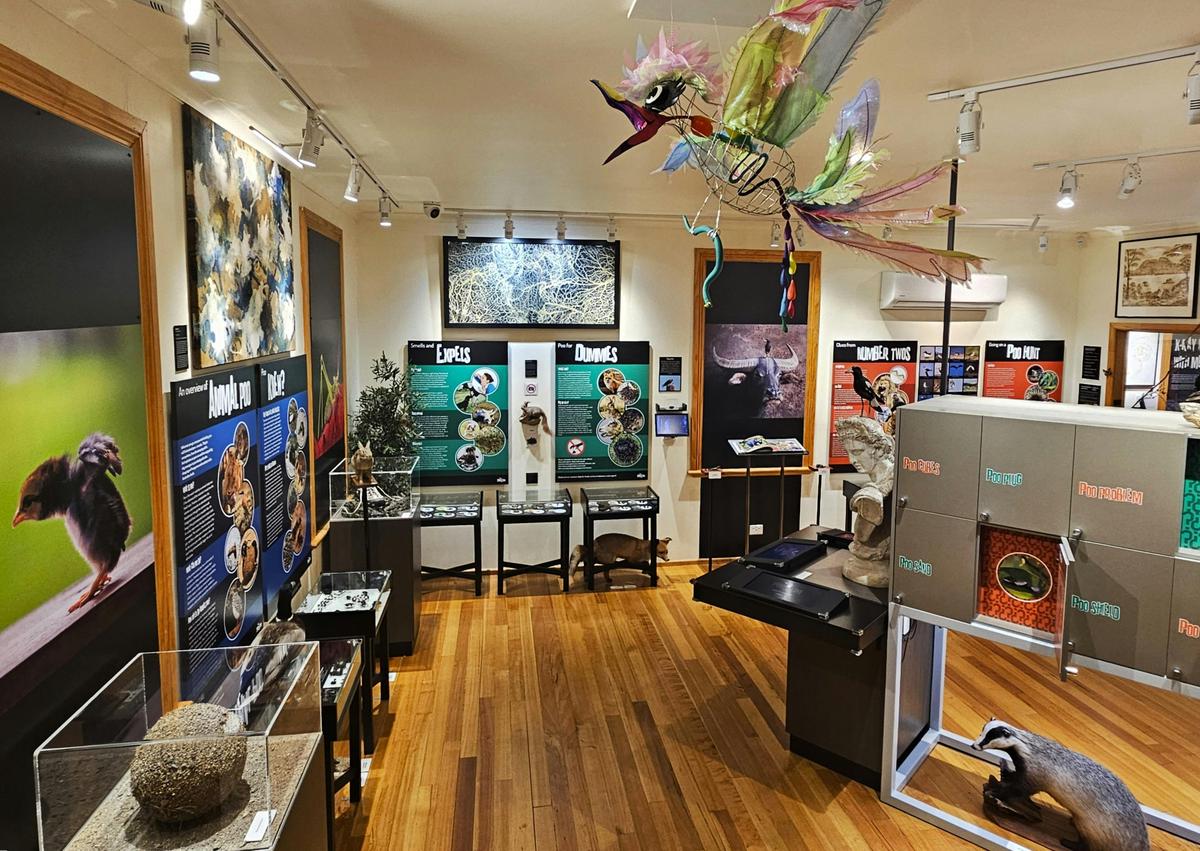 Pooseum exhibition