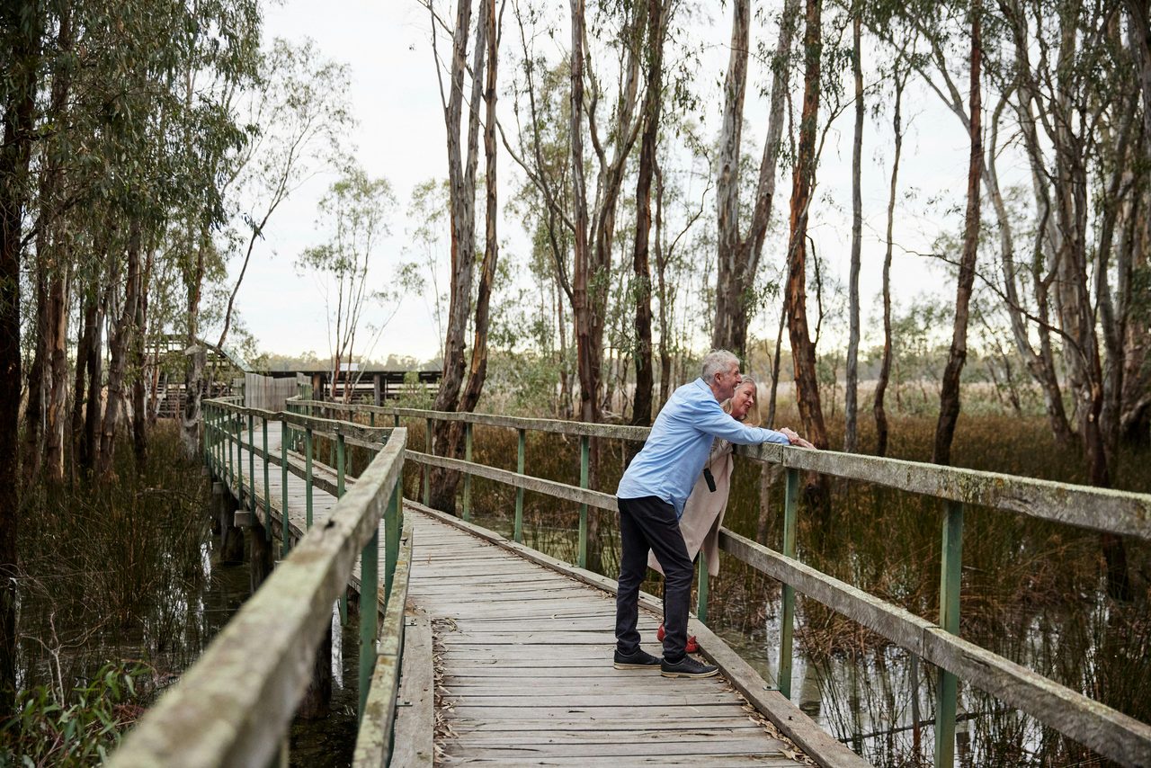 Reed Beds Bird Hide Boardwalk