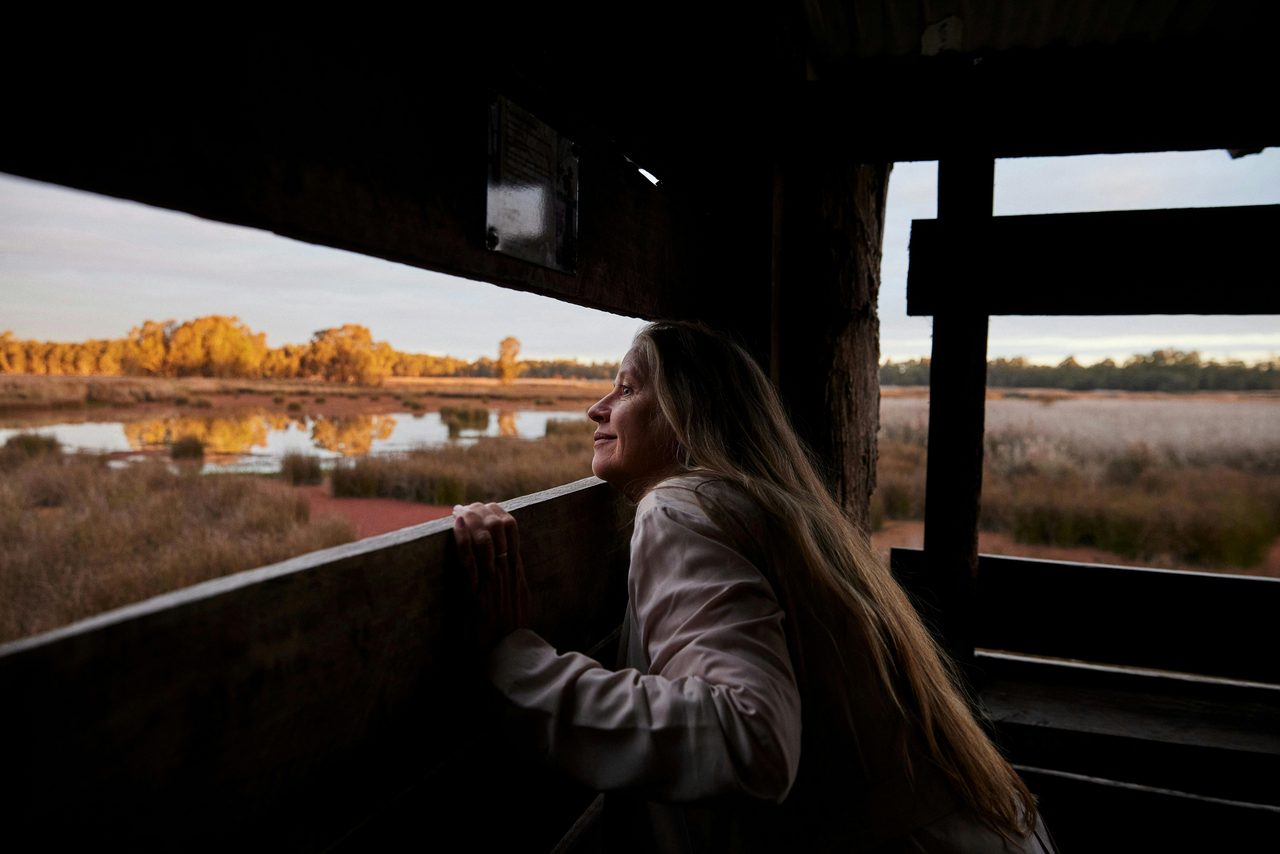 Reed Beds Bird Hide