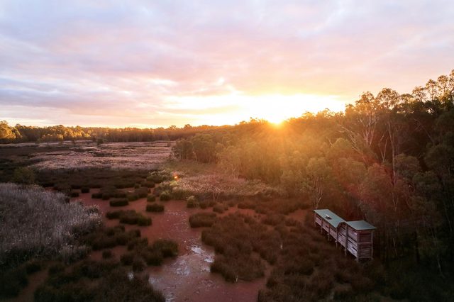 Reed Beds Bird Hide Boardwalk