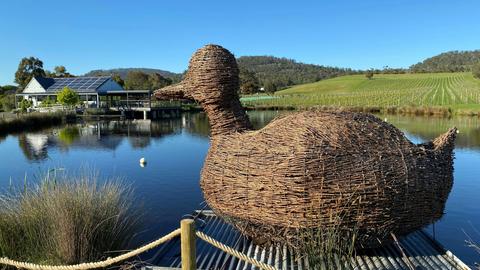 Puddleduck Wines