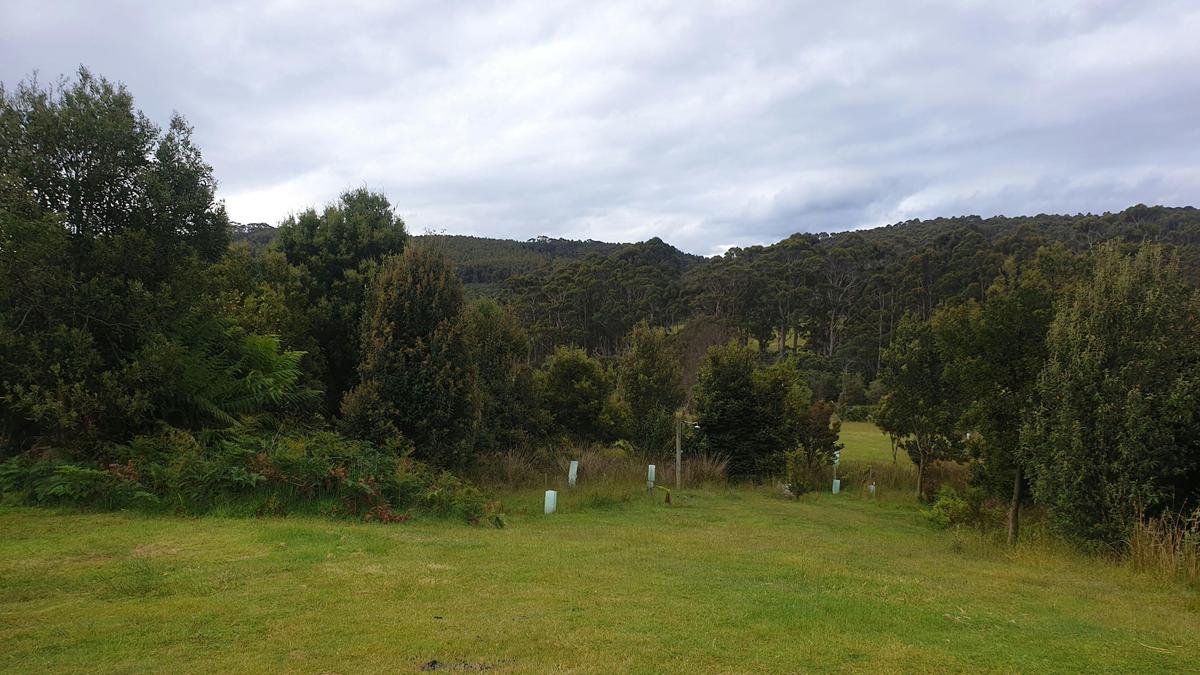 Raoul Bay Retreat