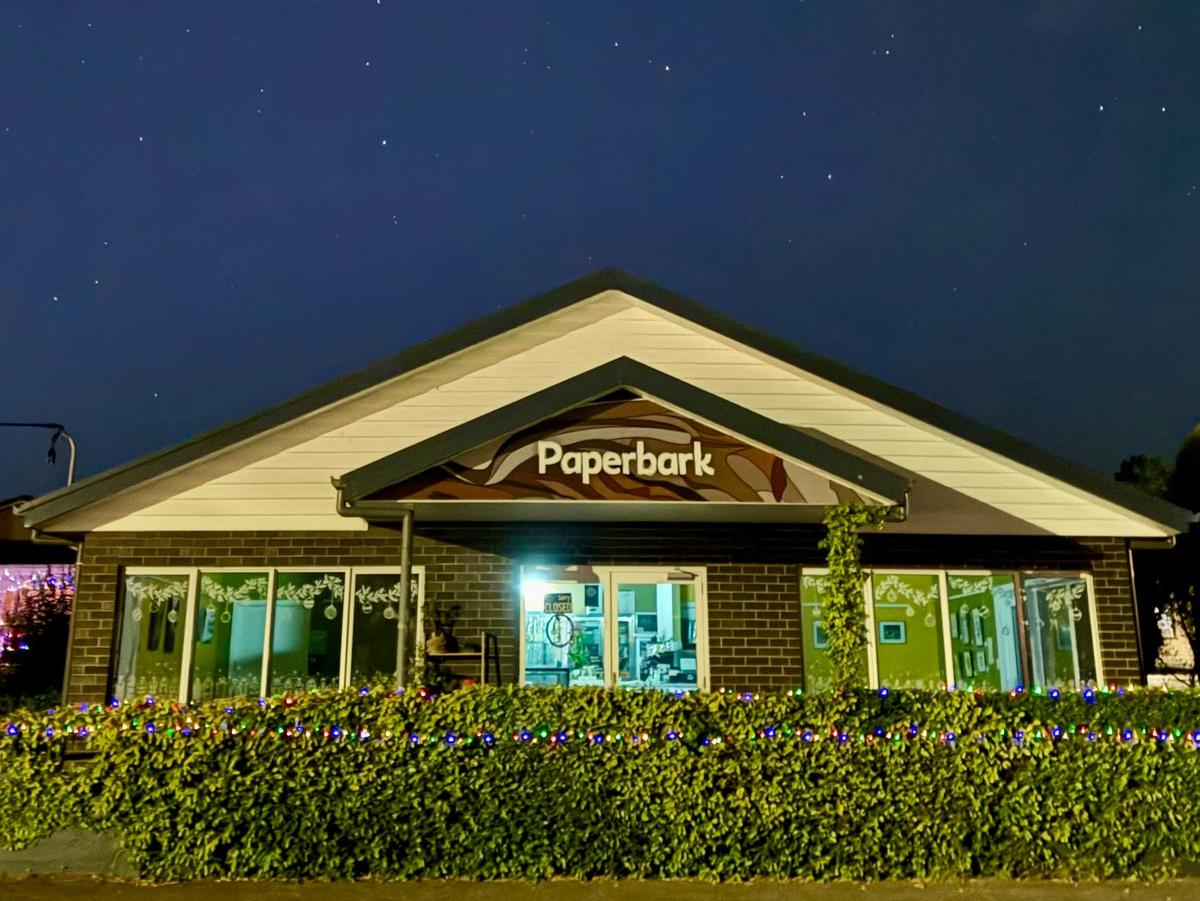 Paperbark at night