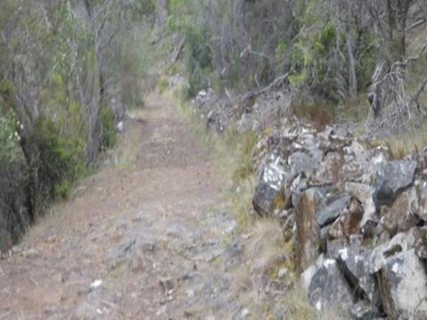 Old Convict Road Orford - Walk