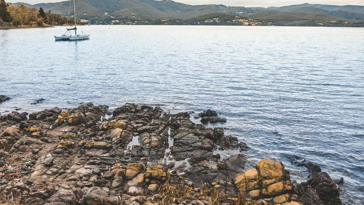 Quoll Hideaway - Bruny Island Bush & Beach camping