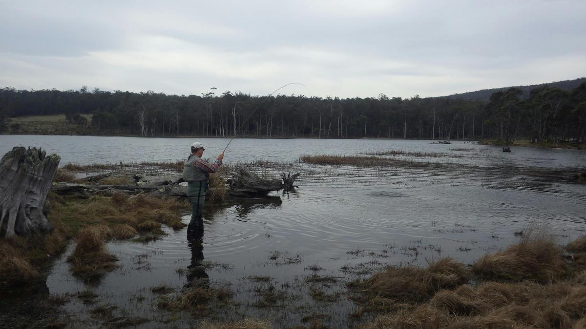 Fly Fishing: Full Day or Extended Day Tours