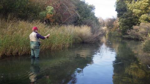Fly Fishing: Full Day or Extended Day Tours