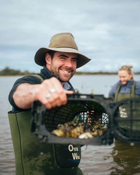 Oyster Bay Tours