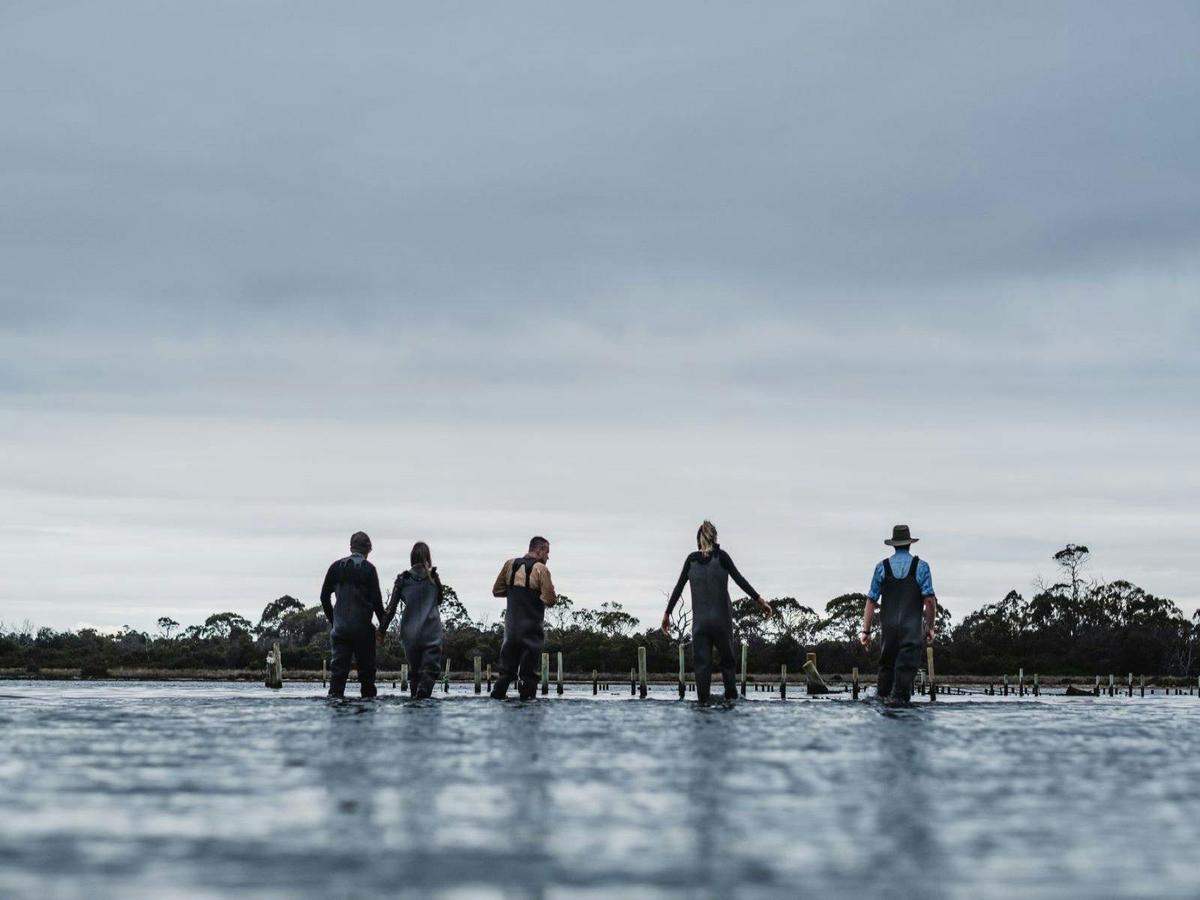 Freycinet Marine Farm Taste Experience