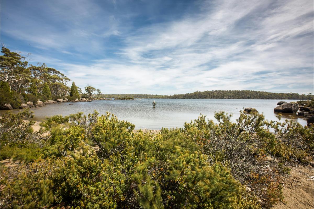 Wilderness fly fishing in the World Heritage Area