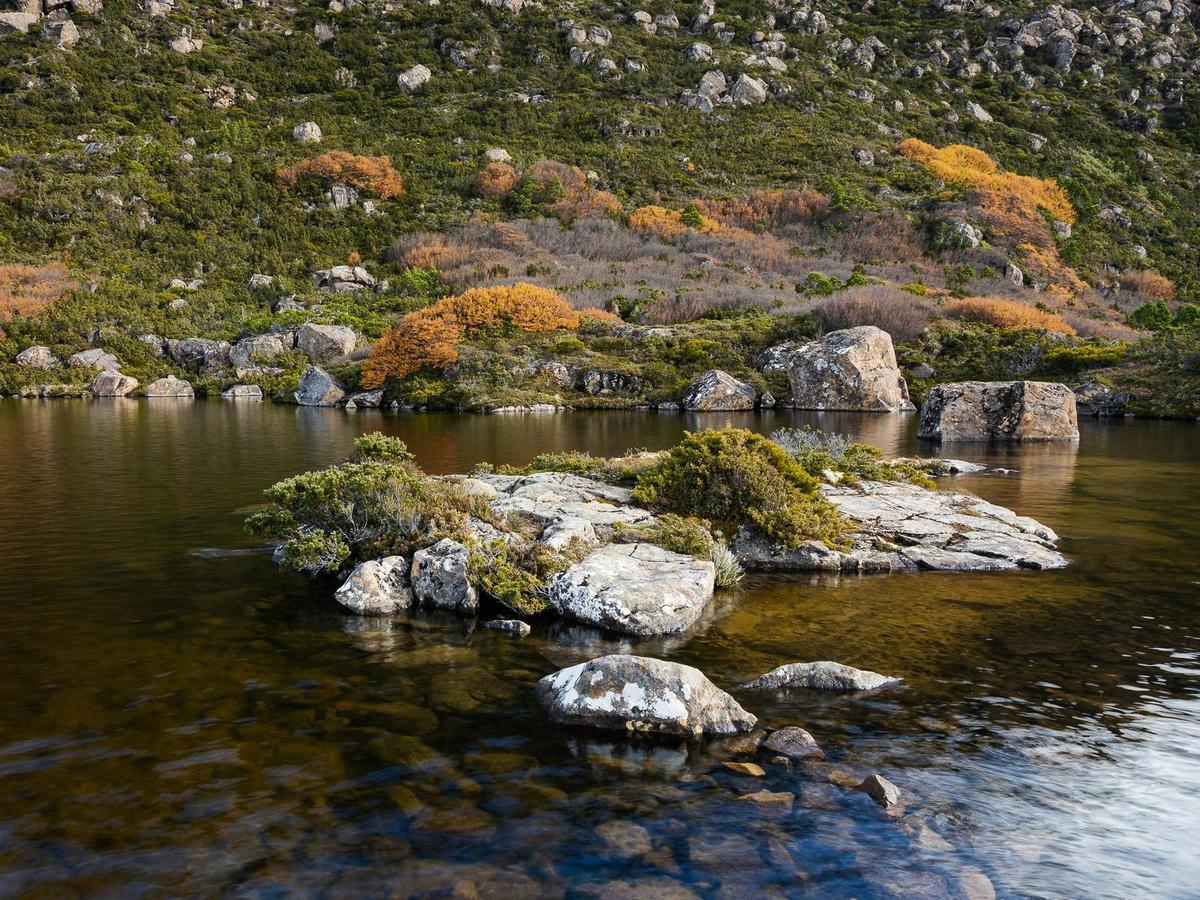 Privately Guided Nature Photography Retreats