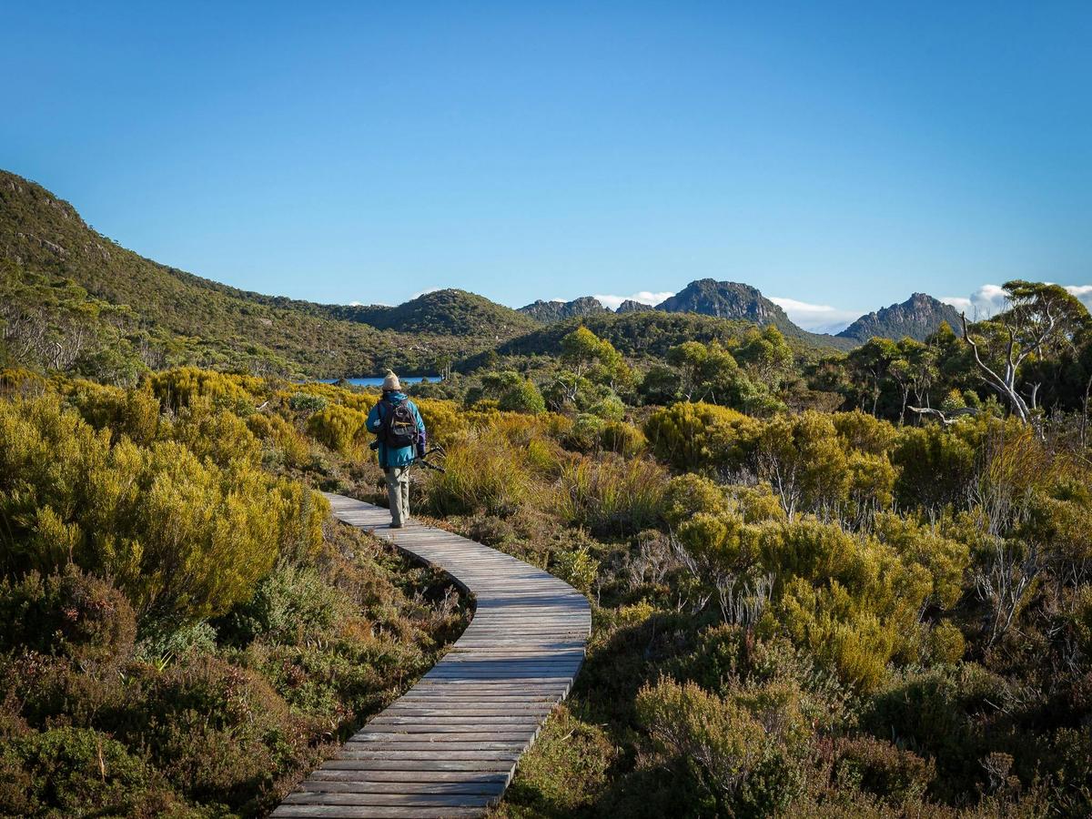 Photography Day Out - Hartz Mountains and Tahune Forest