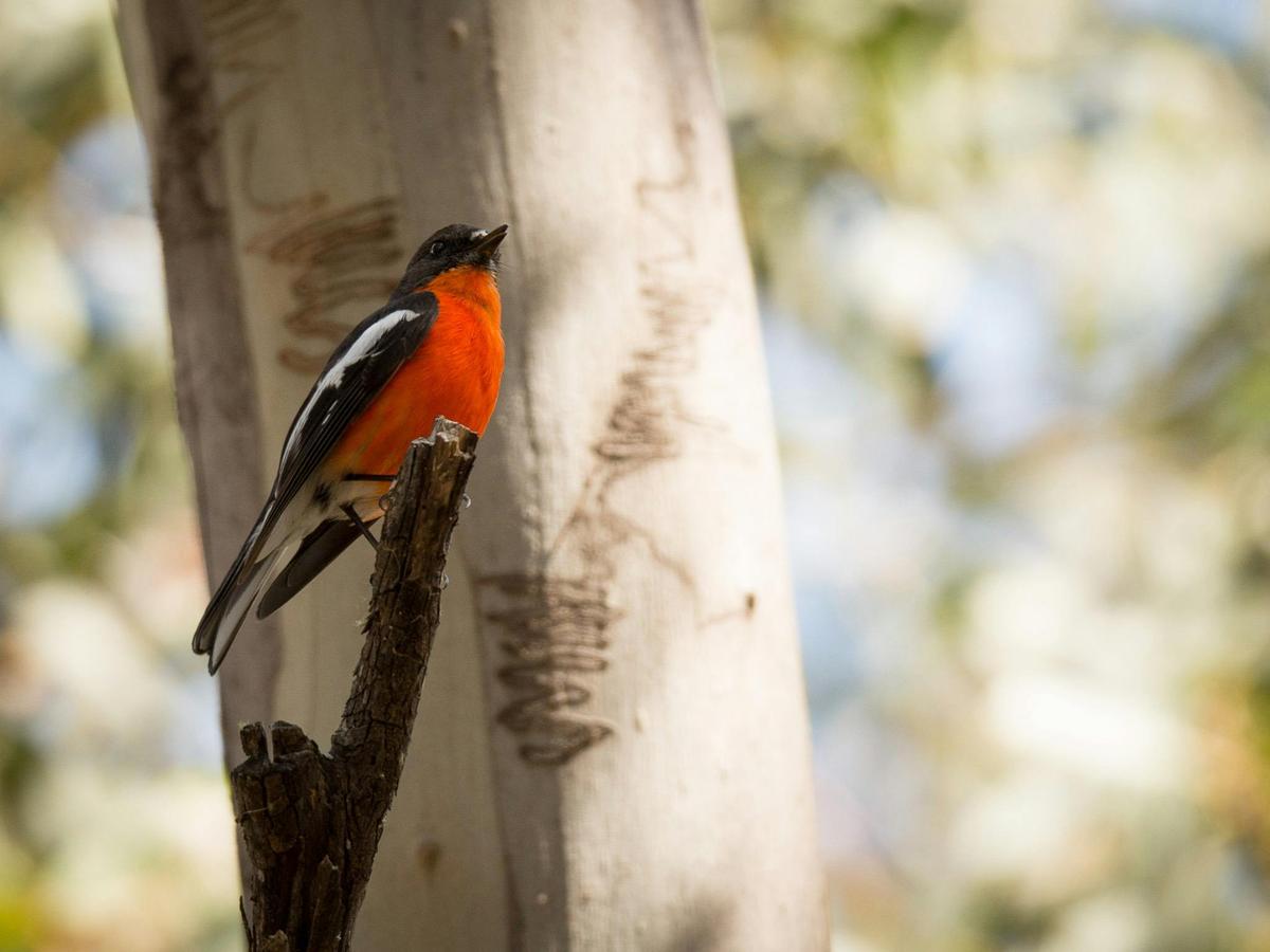Photography Day Out - Tasman Peninsula