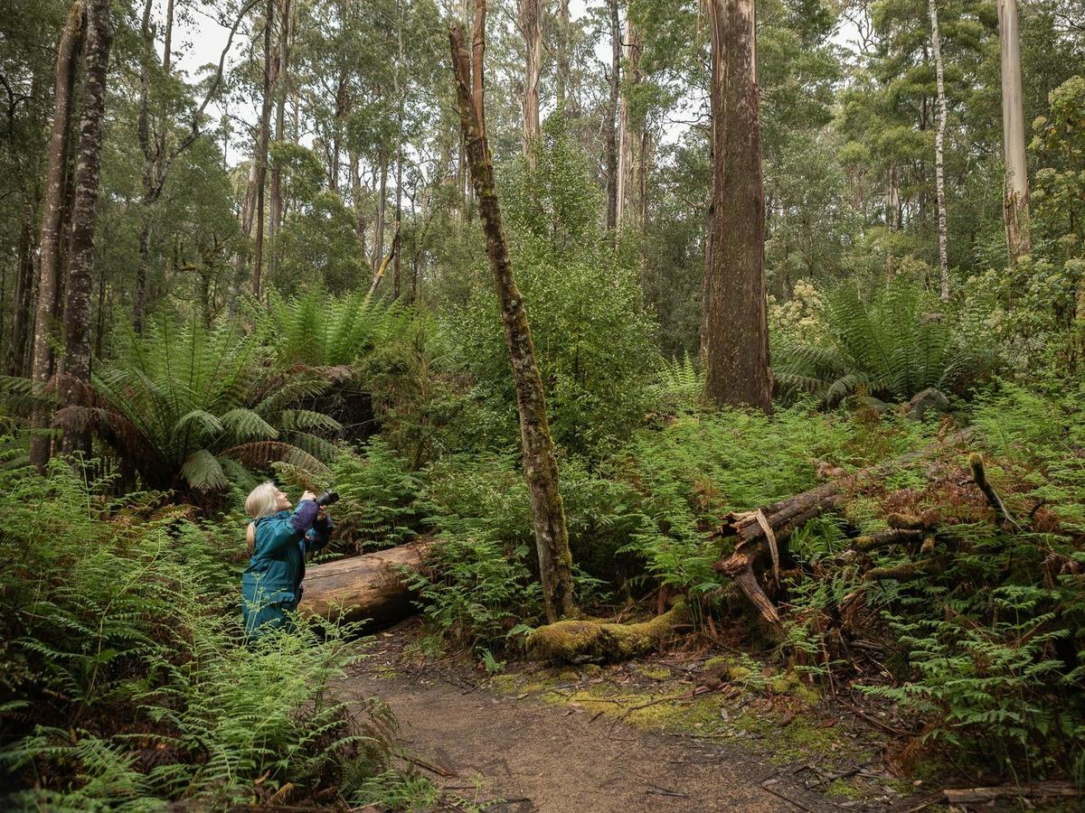 Privately Guided Nature Photography Retreats