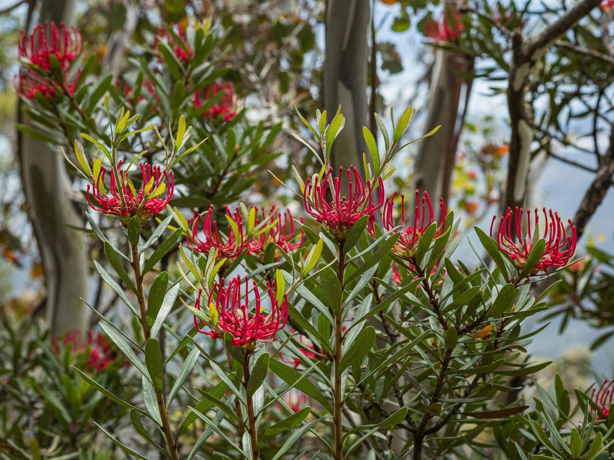 Hobart Photography Day Out