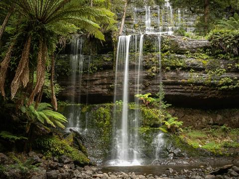 Photography Day Out - Mt Field National Park