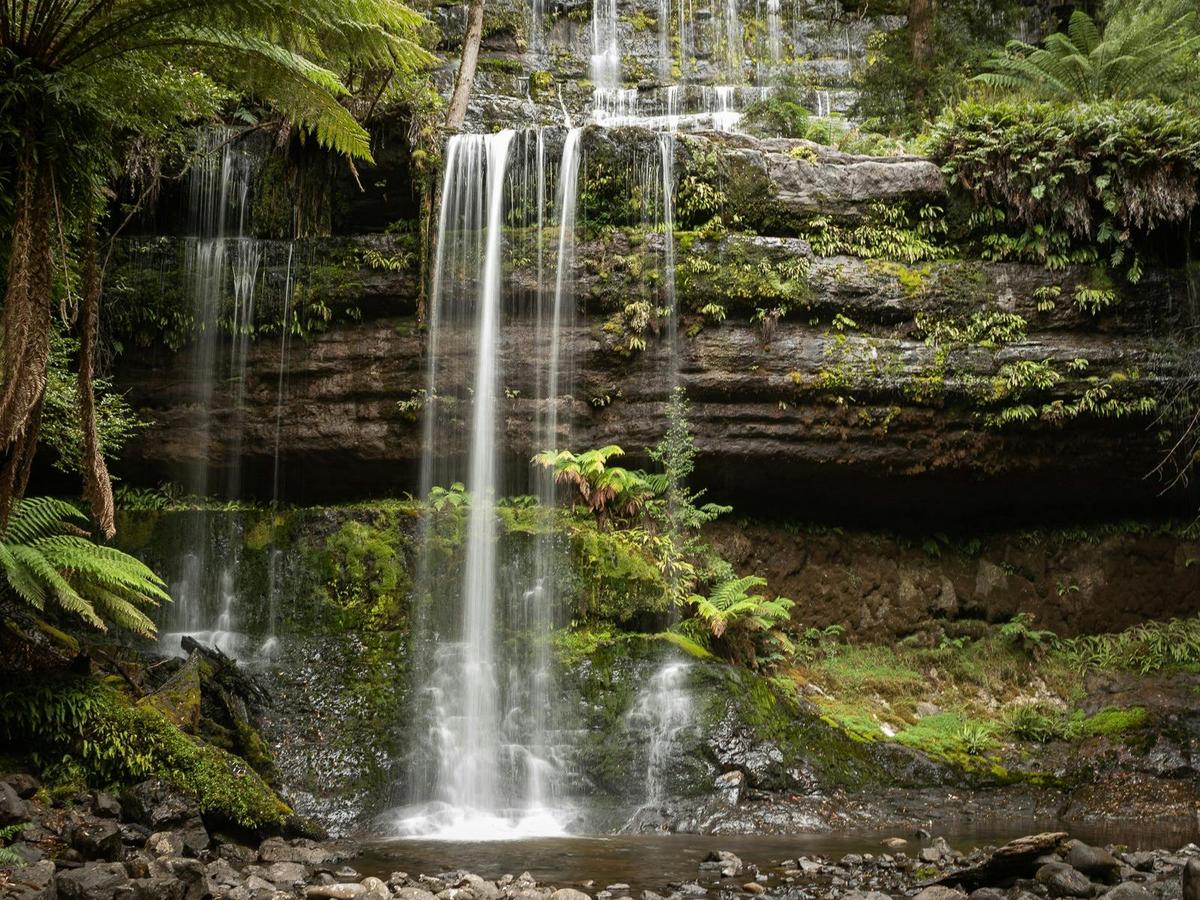 Privately Guided Nature Photography Retreats