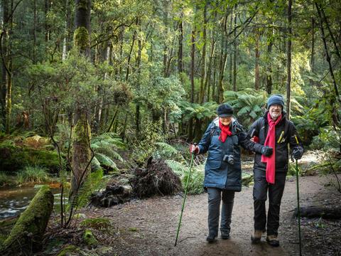 Privately Guided Nature Photography Retreats