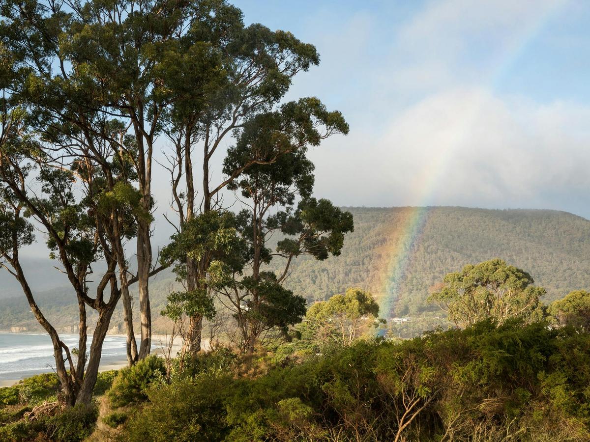 Photography Day Out - Tasman Peninsula
