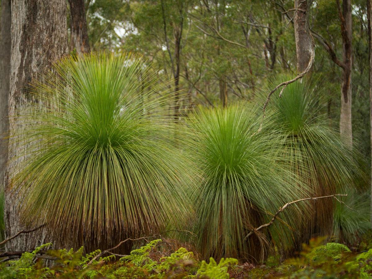 Photography Day Out - Bruny Island