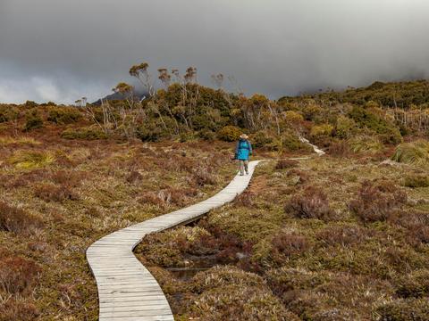Photography Day Out - Hartz Mountains and Tahune Forest