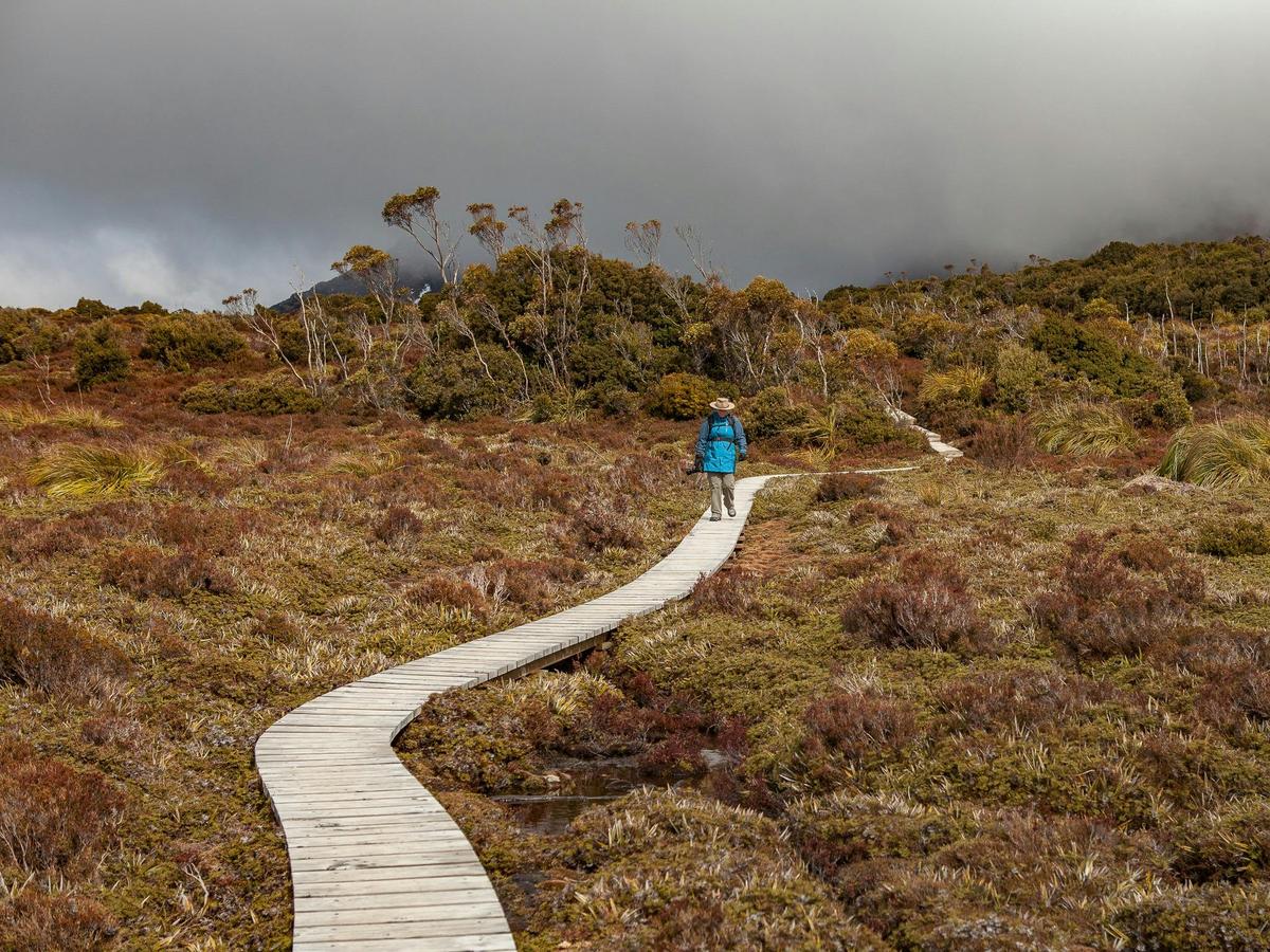 Photography Day Out - Hartz Mountains and Tahune Forest