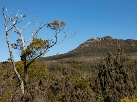 Photography Day Out - Hartz Mountains and Tahune Forest