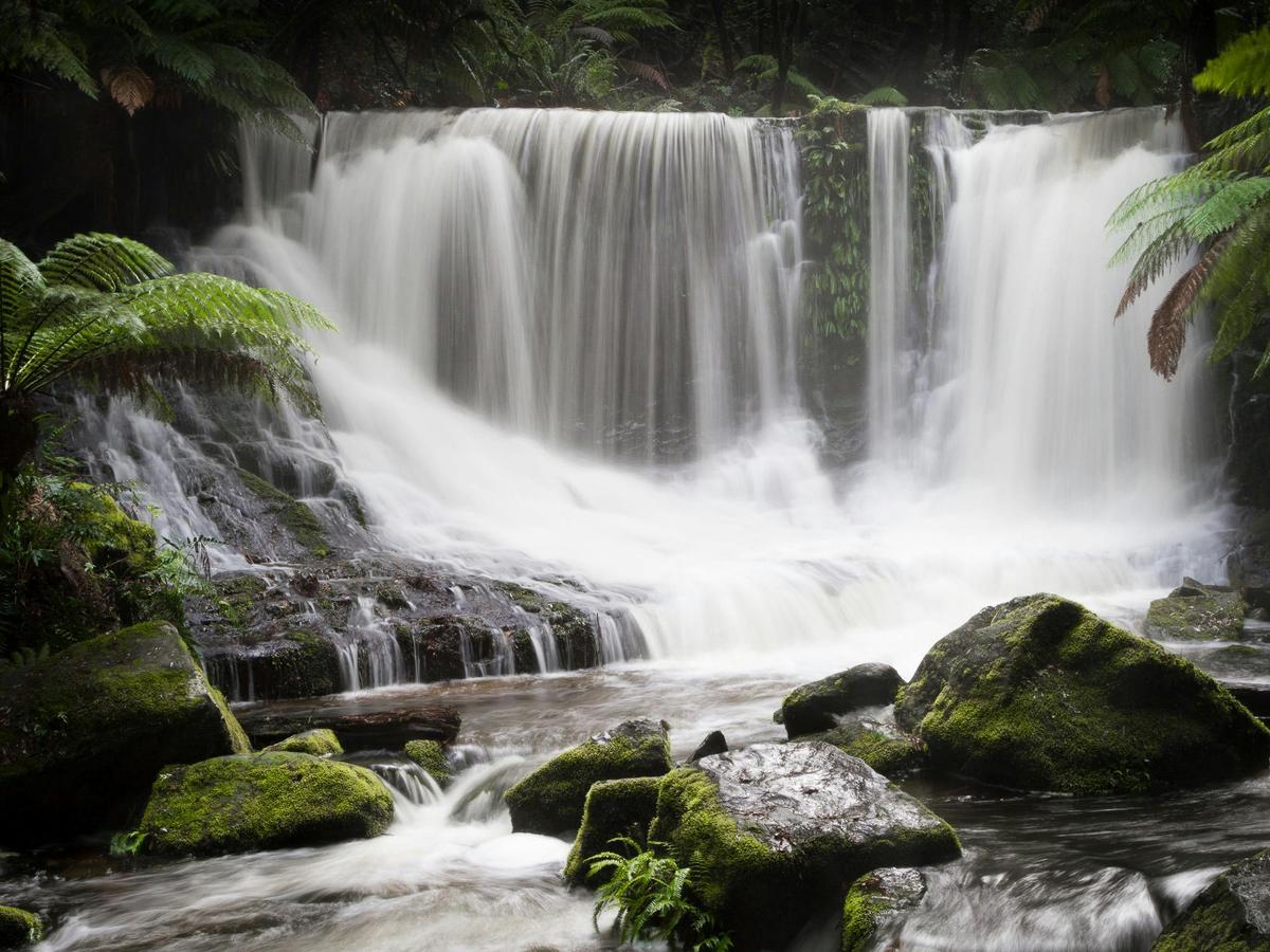 Photography Day Out - Mt Field National Park