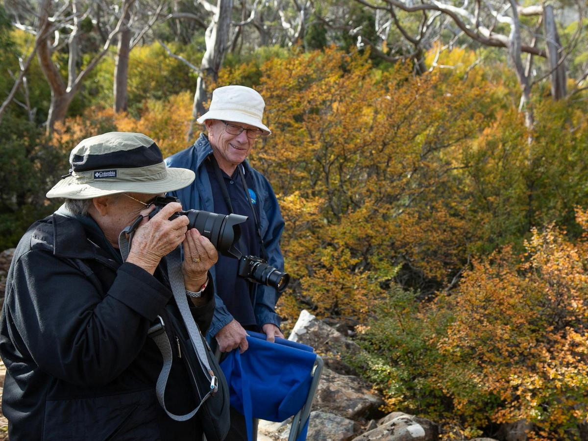 Photographing the seasonal beauty of nature