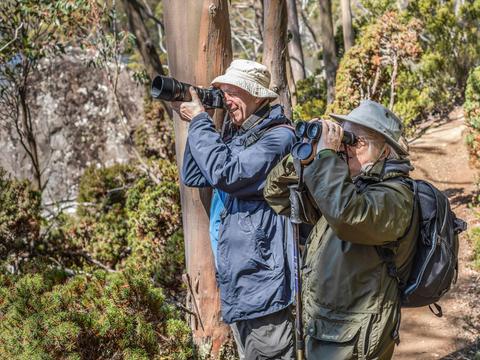 Shutterbug Walkabouts – Tasmania photography tours and experiences