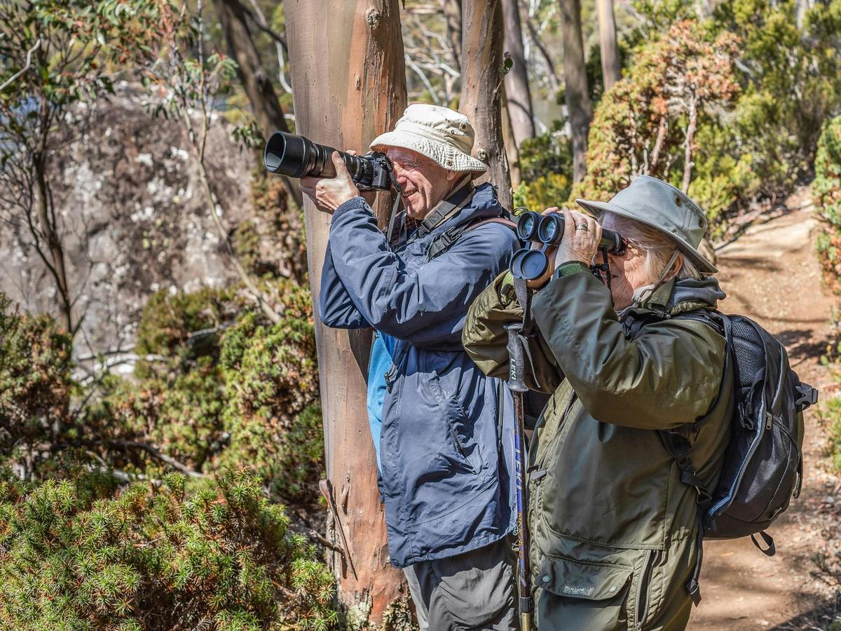 A shared bird photography and birding experience