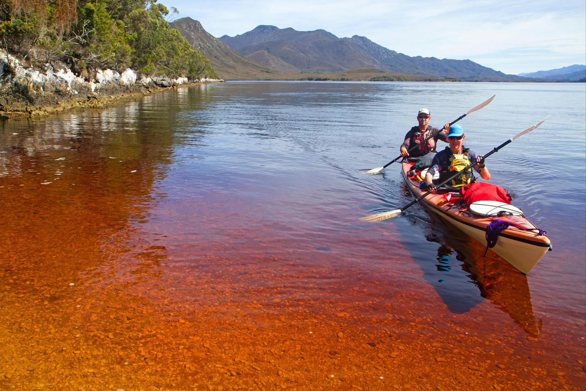 World Heritage Area 'Wilderness on Water' 4 Day Kayaking Exploration