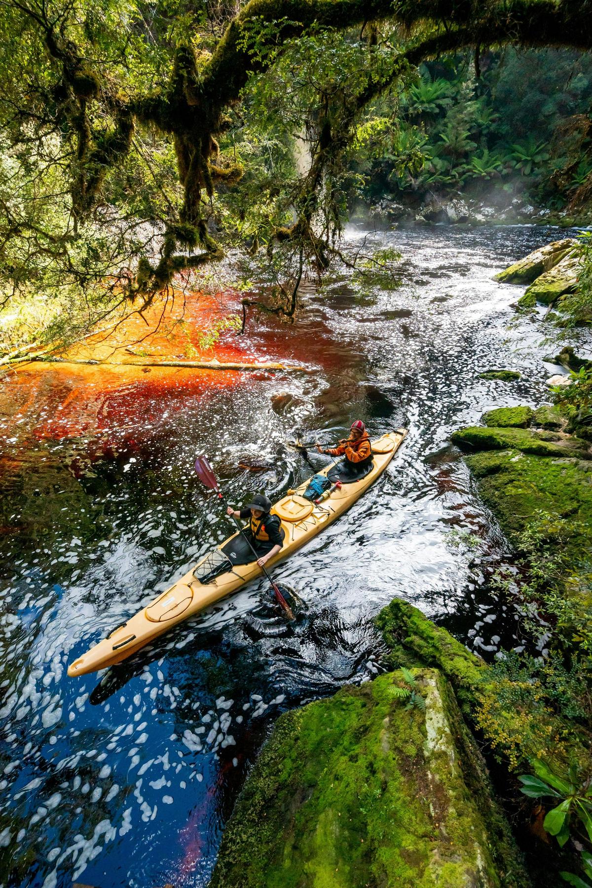 7 Day Gordon River Expedition