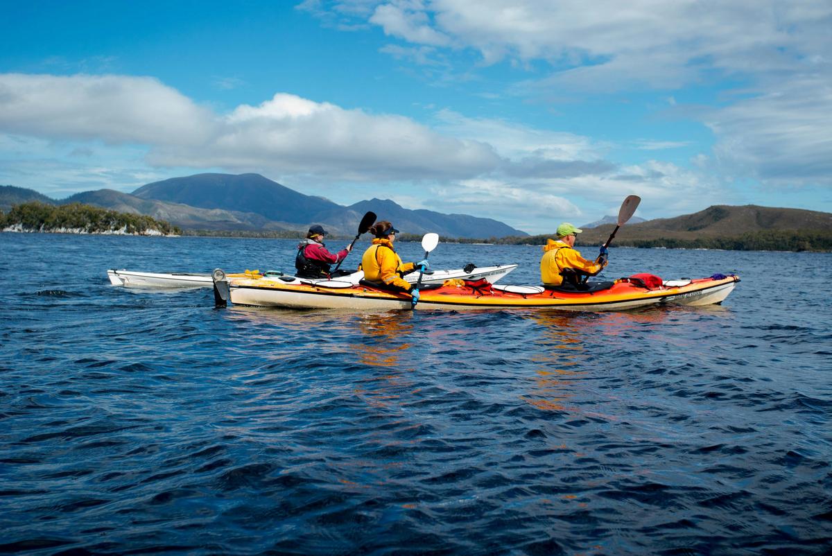 World Heritage Area 'Wilderness on Water' 4 Day Kayaking Exploration