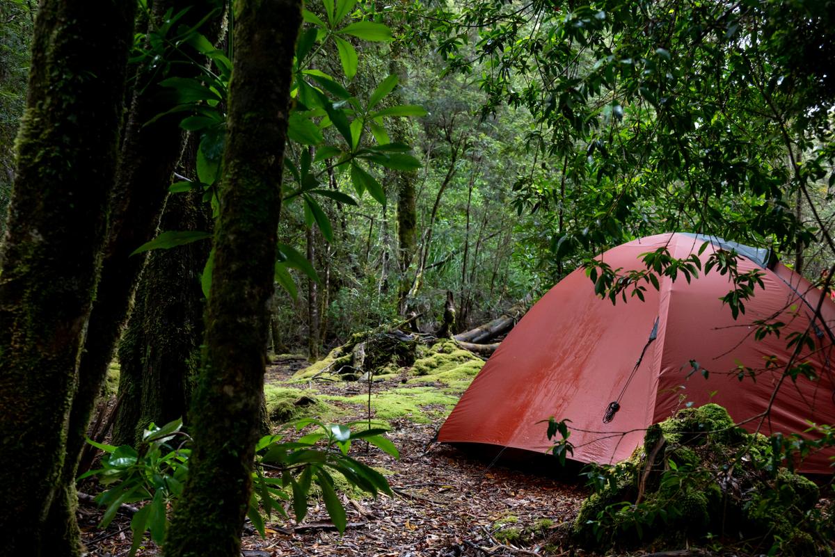 7 Day Gordon River Expedition