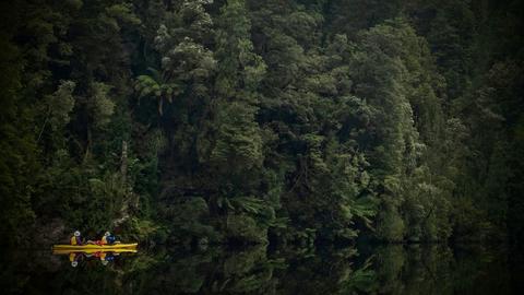 7 Day Gordon River Expedition